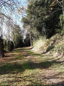 surroundings of the site in Haute-Saintonge, Charente-Maritime