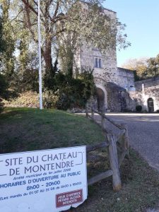 Castle of Montendre